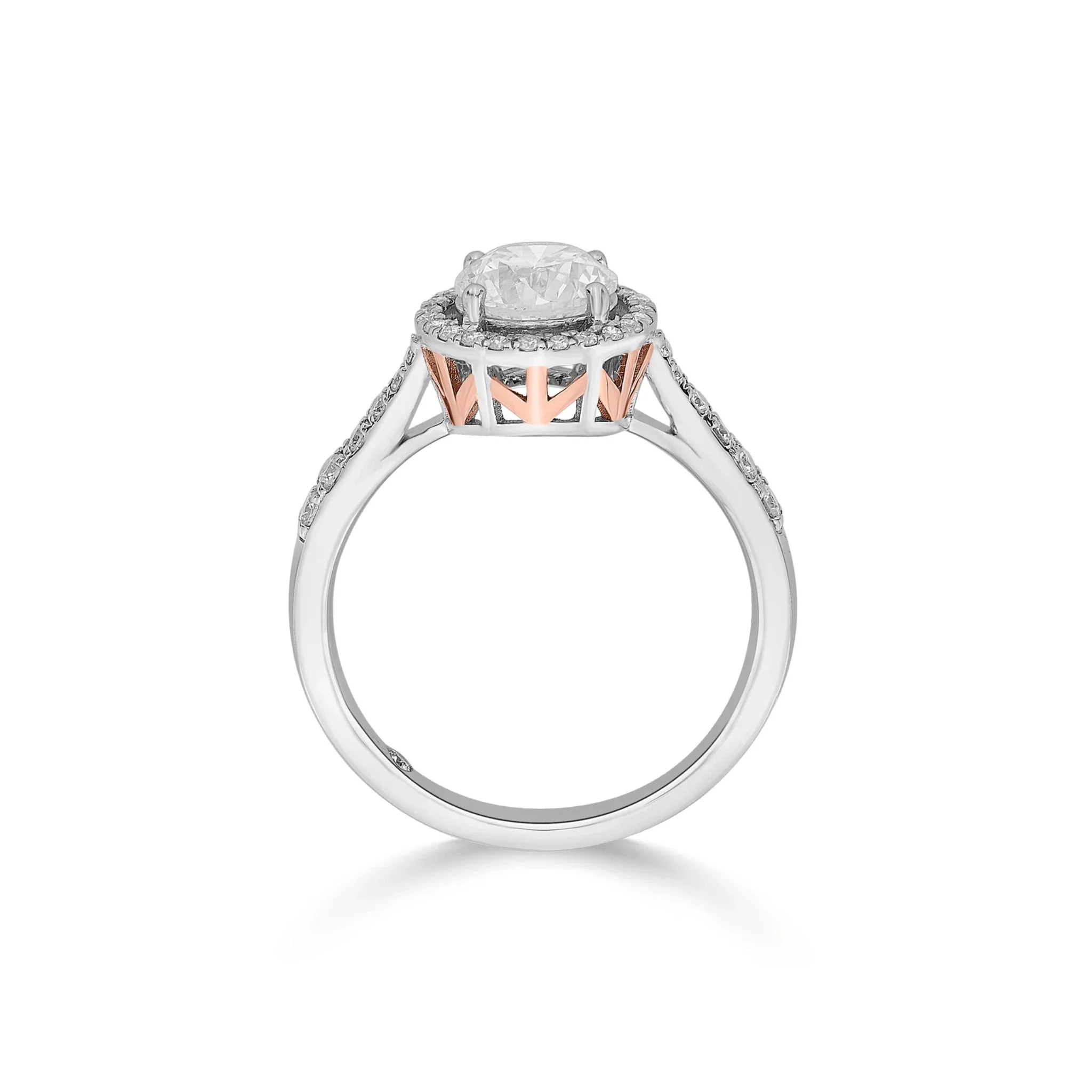 Solitaire Celestial Sparkle Ring - Image 5