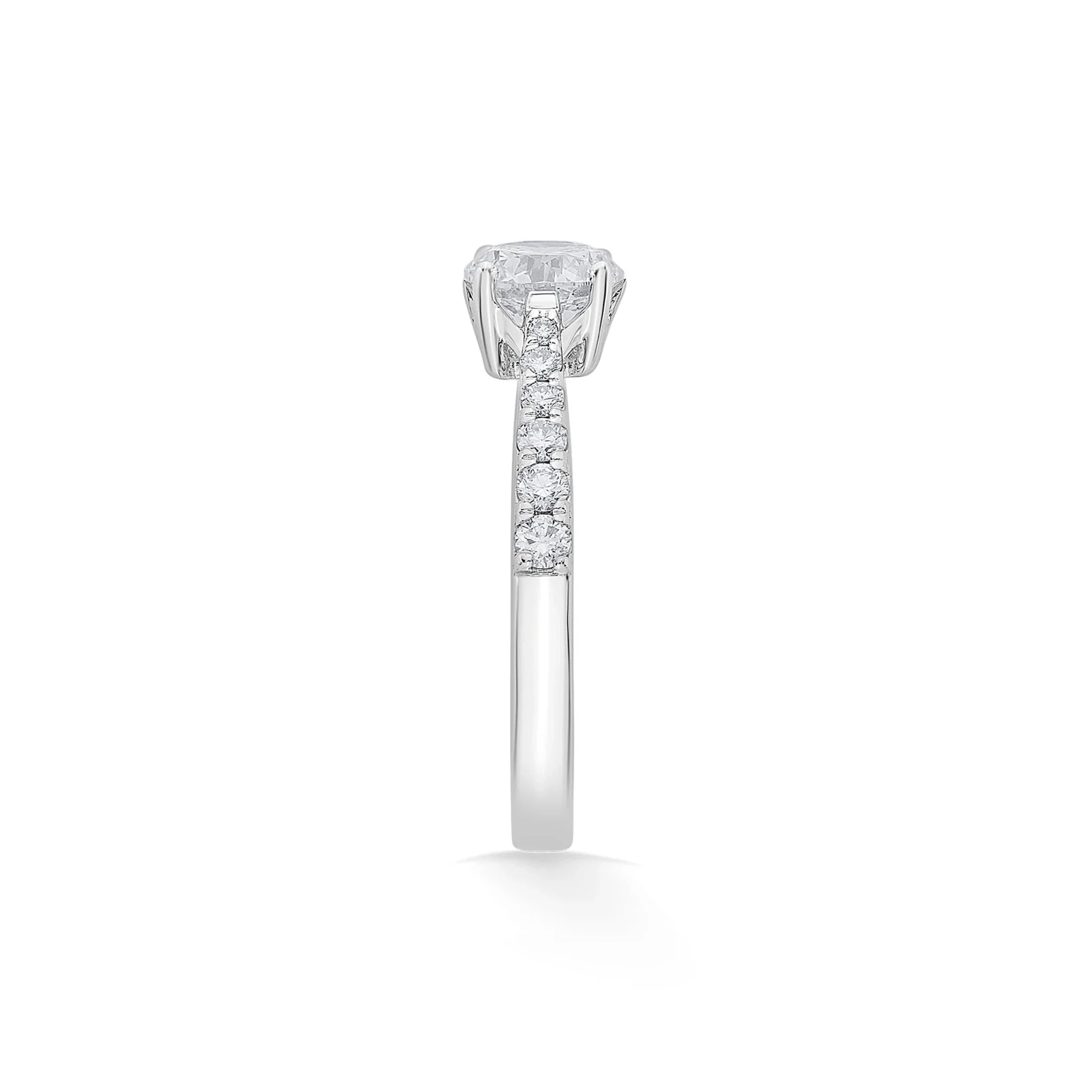 Solitaire Classic Zenith Ring - Image 6